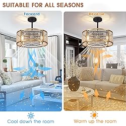 Zhizenl Ceiling Fan with Lights, 6 Speeds