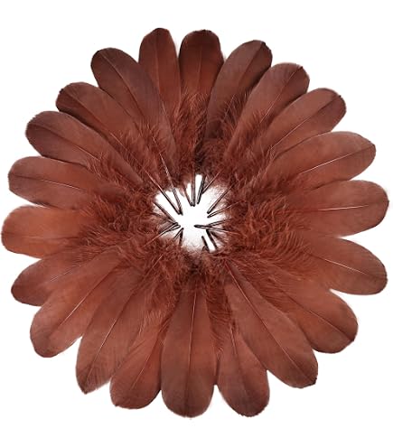Amazon.com: Ballinger Brown Craft Feathers Bulk - 120Pcs 6-8inch