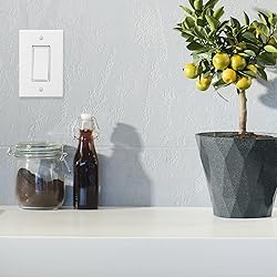 Questech Decor Single Rocker Light Switch