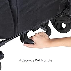 Baby Trend Expedition 2-in-1 Stroller Wagon