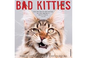 Willow Creek Press Bad Kitties Monthly 2024 Wall Calendar (12" x 12")