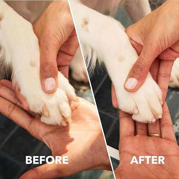 DREMEL PAWCONTROL 7760-PGK DOG NAIL GRINDER AND TRIMMER – CORDLESS & RECHARGEABLE PET GROOMING TOOL KIT – SAFE AND HUMANE FOR DOGS, CATS, AND SMALL ANIMALS