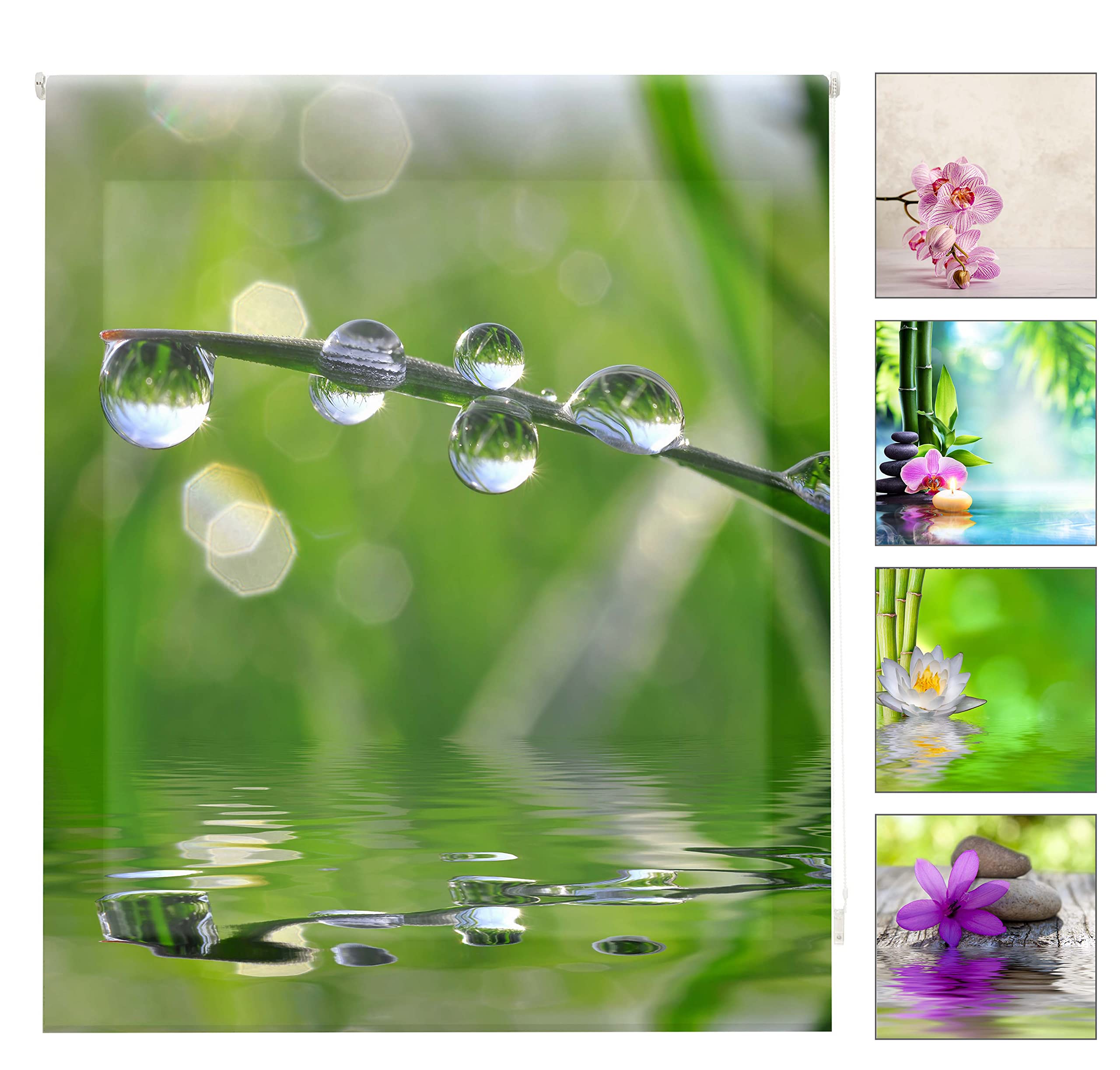 Blindecor W-Z-01287 – Translucent Roller Blind with Digital Print, 110 x 180cm, Multi-Coloured