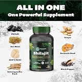 New Earth Essentials Shilajit All-in-One 60 Vegan Capsules 2320mg per Serving view 2