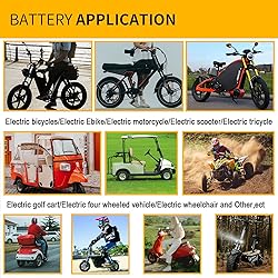 BtrPower 48V 52V Ebike Battery 30AH LiFePO4 Battery