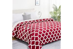 Homemate Heated Blanket Electric Queen Size - 84“x90“ Heating Blanket with 10 Fast Heat Levels 8 Hours Auto Off Ultra Soft Cozy Flannel Over-Heated Protection ETL Certification Keep Warming in Home