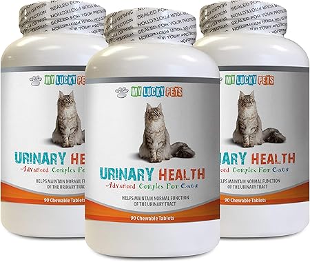 cat food for urinary blockage