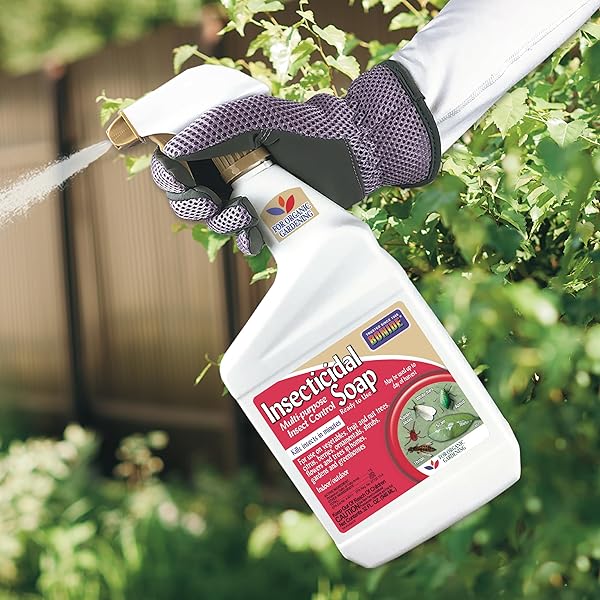 BONIDE INSECTICIDAL SOAP, 32 OZ READY-TO-USE SPRAY MULTI-PURPOSE INSECT CONTROL FOR ORGANIC GARDENING INDOOR AND OUTDOOR