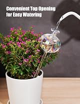 NiHome Cactus Glass Self-Watering Globes 6-Pack Iridescent Large 3 Small 3 view 4