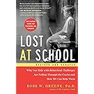 Lost at School: Why Our Kids with Behavioral Challenges are Falling Through the Cracks and How We Can Help Them