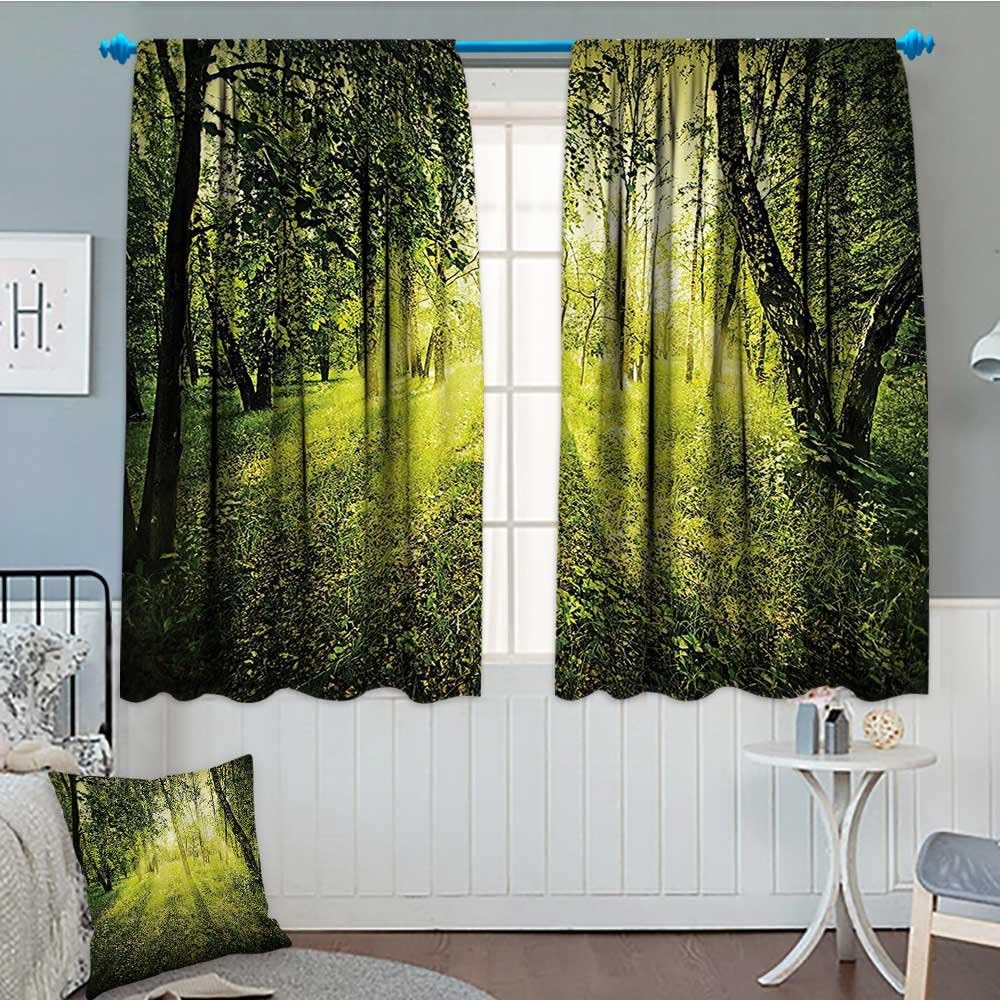 Strongger Magic Home Decor Window Curtain Drape Freshening Morning Light in Forest in Summer Time Sunset Environment Wilderness Mist Theme Decorative Curtains for Living Room 52"x63" Green