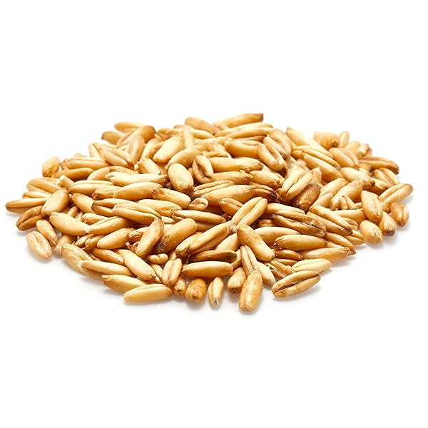 YUPIK ORGANIC WHOLE OAT GROATS,2.2 LB (35.2 OZ), NON-GMO, VEGAN, KOSHER, RAW, WHOLE GRAIN OATS, SALT-FREE, NUTTY FLAVOR, GOOD SOURCE OF FIBER, IDEAL FOR BAKING & COOKING