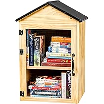 Amazon.com: Little Library Box Outdoor, 2-Tier Waterproof