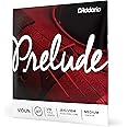D'Addario Prelude Violin String Set, 1/16 Scale, Medium Tension – J810 1/16M - Solid Steel Core, Warm Tone, Economical and Durable – Educator’s Choice for Student Strings – 1 Set
