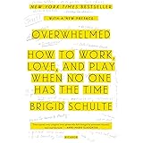Overwhelmed: How to Work, Love, and Play When No One Has the Time