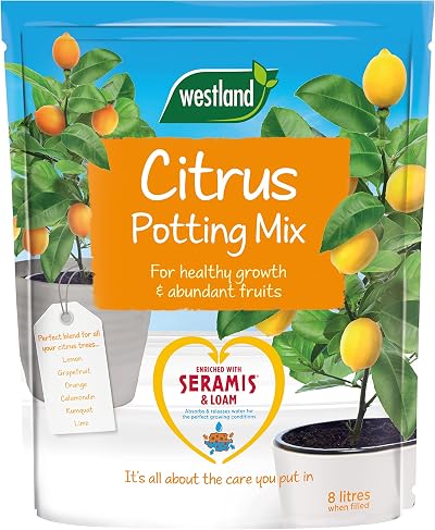 Westland Potting Compost Mix with Seramis, 8 Litre, Brown