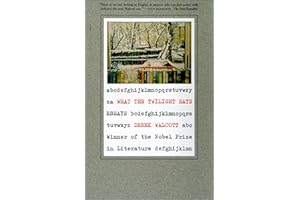 What the Twilight Says: Essays