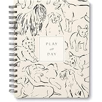 Amazon.com : Compendium Spiral Notebook - Play All Day — A