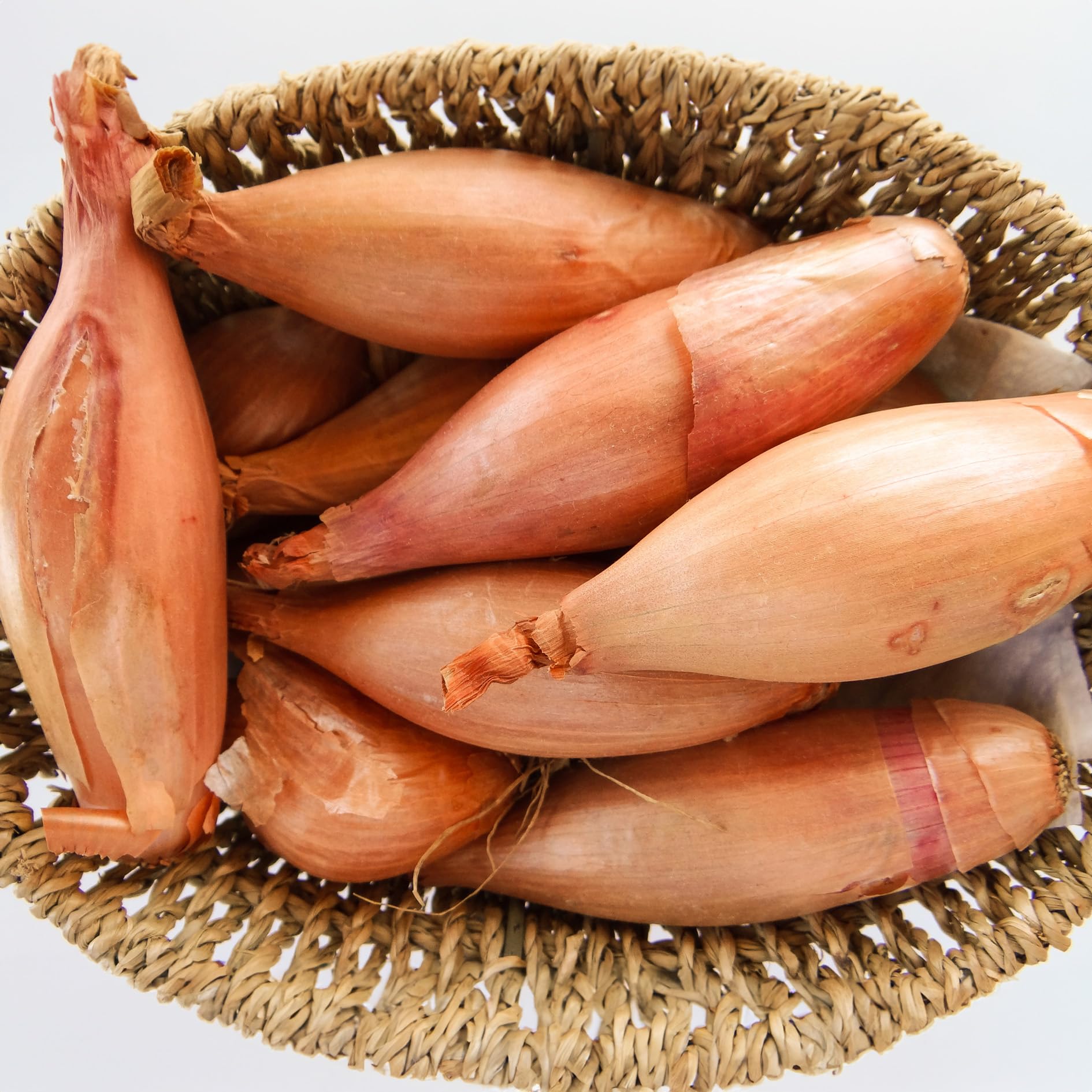 PREMIER SEEDS DIRECT - Shallot - ZEBRUNE - 450 Finest Seeds