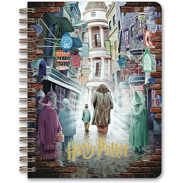 Harry Potter Magical Places & Characters Poster Coloring Book