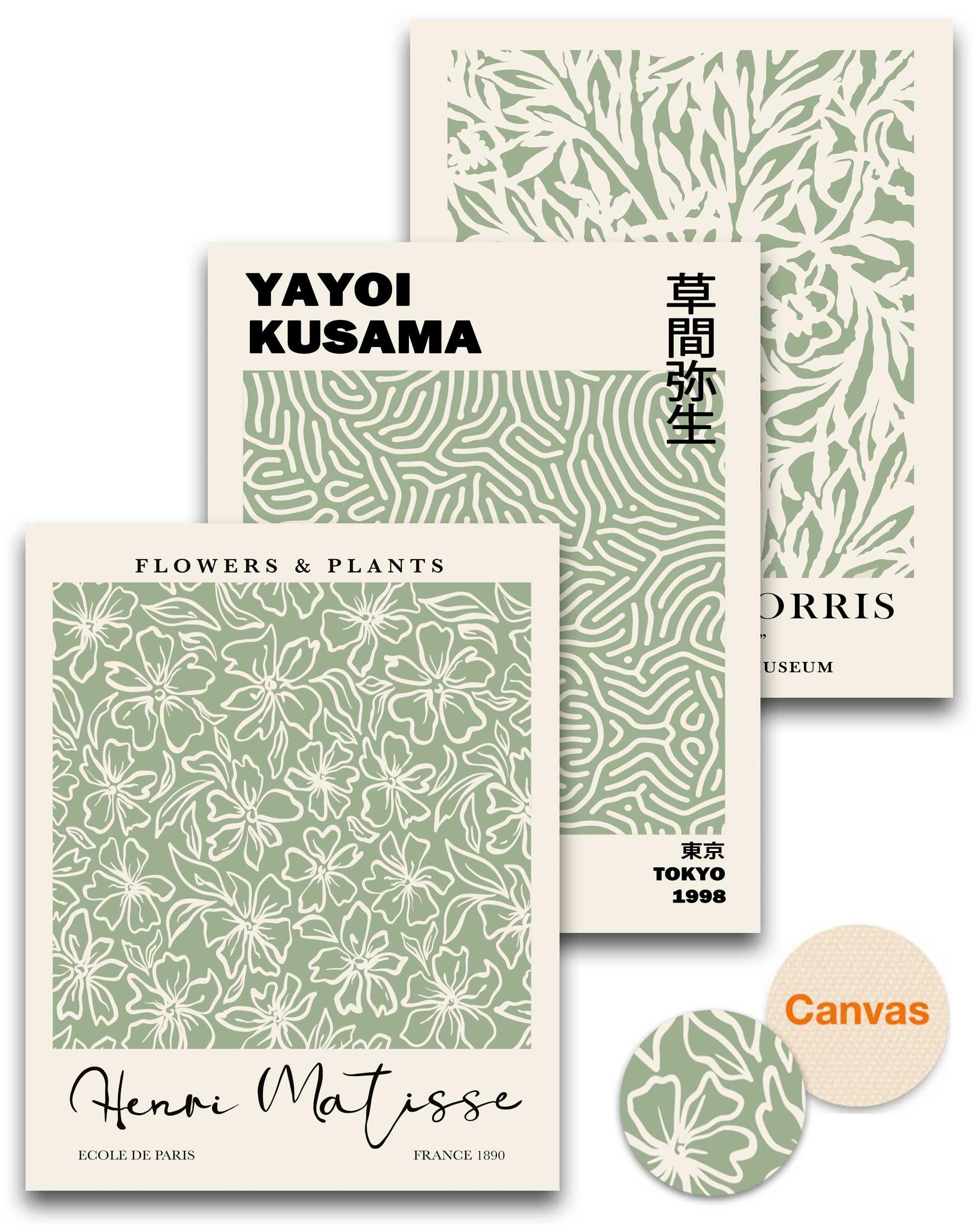 HesenDot Unframed Matisse Sage Green Wall Art Poster,Plants Botanical Canvas Wall Decor,30x40CM Poster Prints,Minimalist Classic Home Decor for Living Room Bedroom Bathroom Office,Set of 3