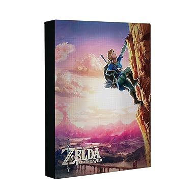 The Legend of Zelda kultigen Link Kunstwerk aus Atem der Wild, Faux Holz, mehrfarbig