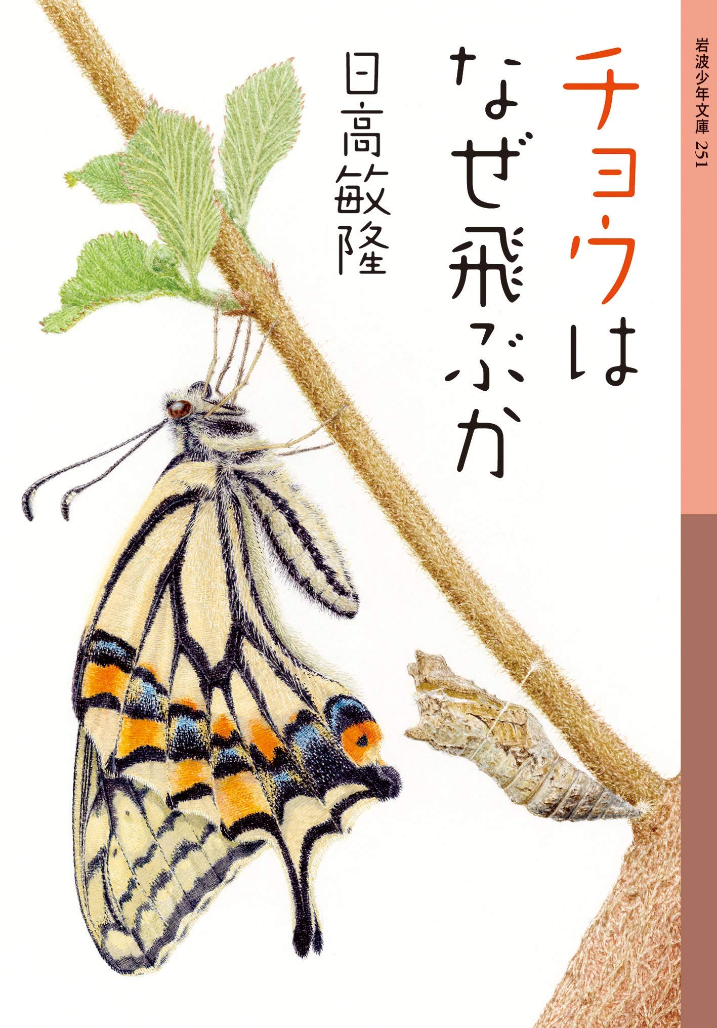 チョウはなぜ飛ぶか 岩波少年文庫 日高 敏隆 本 通販 Amazon