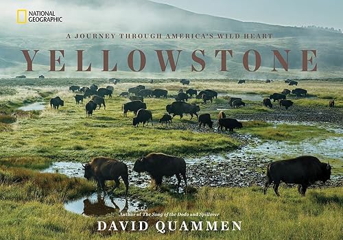 Download Yellowstone: A Journey Through America's Wild Heart PDF