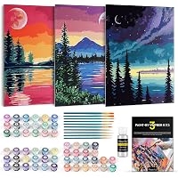 Magicfly Paint by Numbers for Adults 3 Pack Canvas Panels 9x12 Inch DIY Painting by Number Kit Include 10 Multi-Sized…