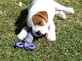 Petface Toyz Rope Chew Toy Large - Durable Non-Toxic Dog Chew Toy view 6