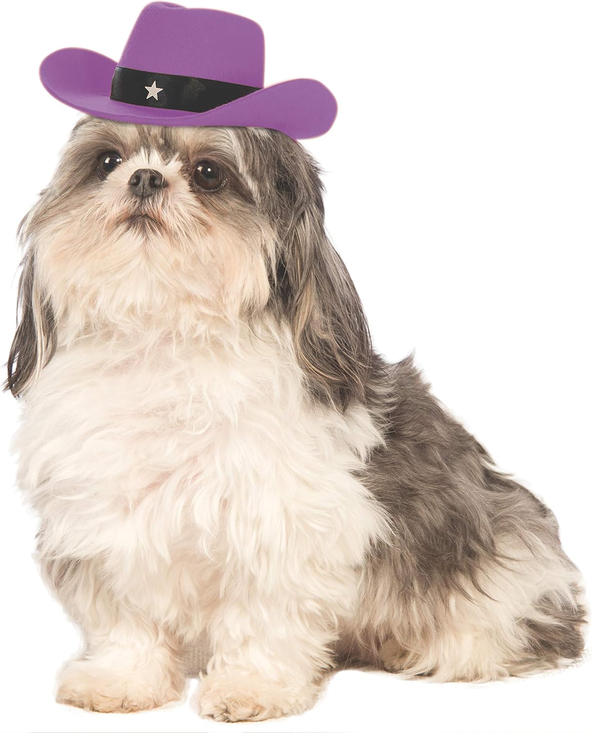 cowboy hat on dog