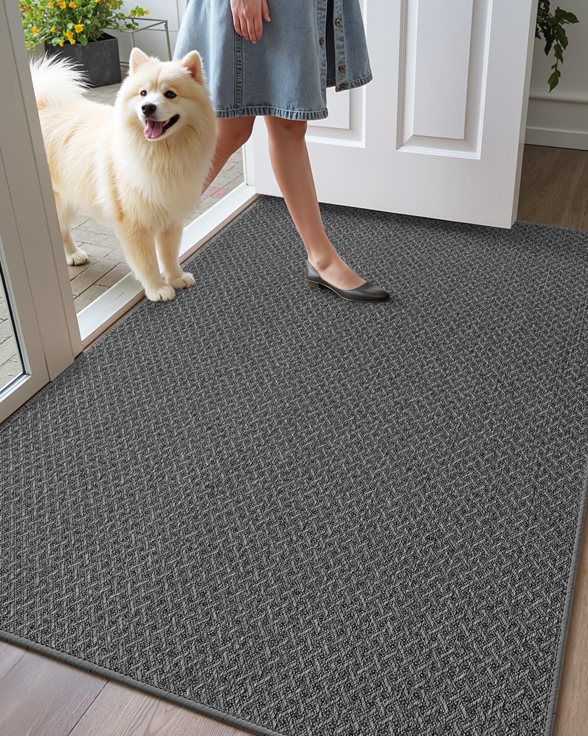 COLOR&GEOMETRY Thin Indoor Mat 61x92 cm, Doormats Inside Non Slip Front Door Mat Indoor Low-Profile Entrance Doormat, Easy Clean, Dark Grey (Rolled-up NO Creases)