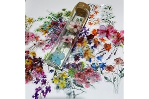 WASHBO 50 Pieces Natural Flower Themed Stickers for Scrapbooking, Self-Adhesive Scrapbooking Stickers Supplies Journal Stuffers for Adult Card Making Letters DIY (Flower)