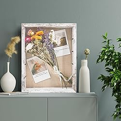 FramePro Shadow Box Frame Display Case 11x14 with