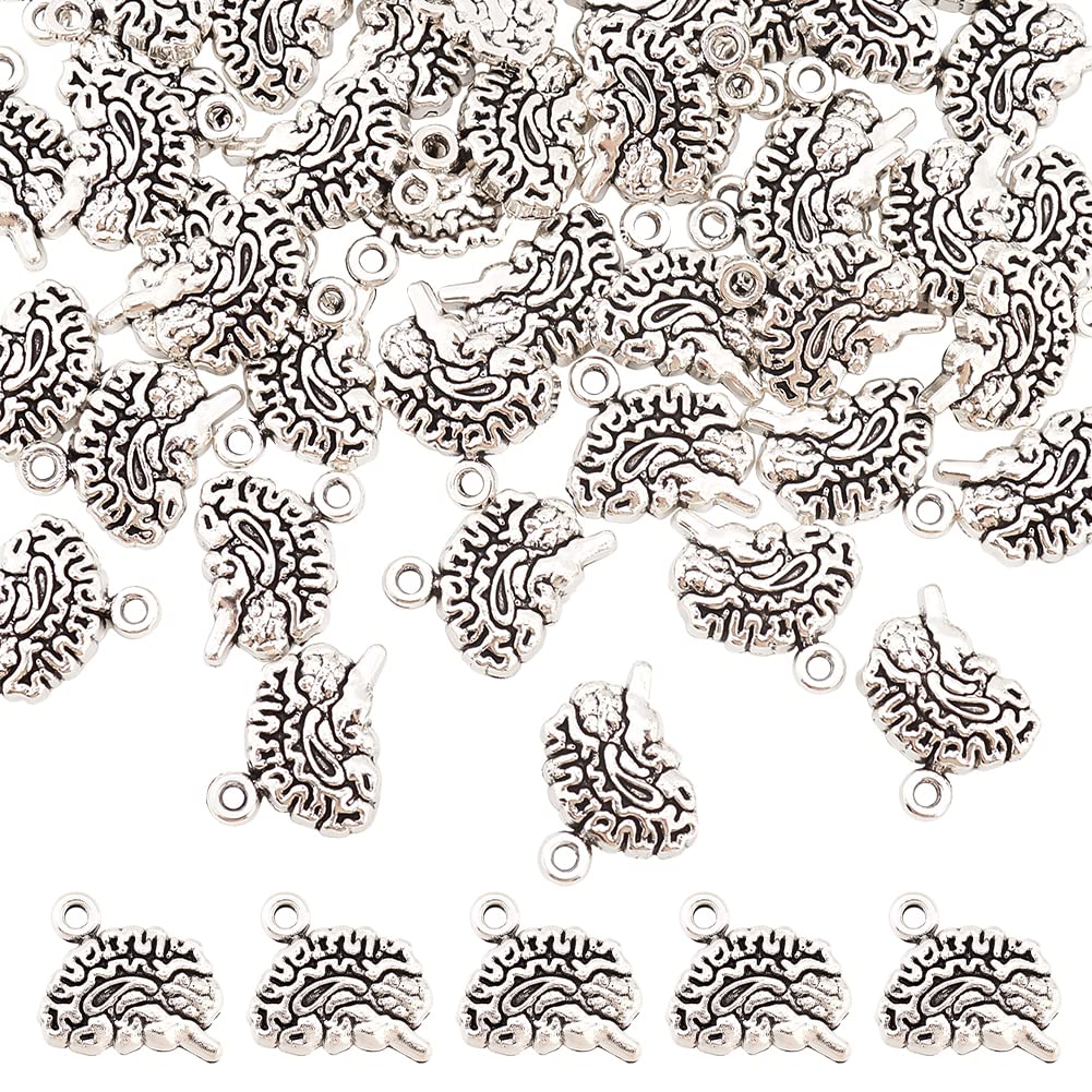DICOSMETIC 50Pcs Alloy Brain Charms Bulk Tibetan Silver Brain Charms 3D Textured Human Anatomy Charms Organ Charms for Biology Student Gift Jewelry Making, Hole: 1.5mm