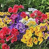 kimbovillea 12 Bundles Artificial Pansy Flowers Faux Plastic Wild Flowers Bushes for Home Kitchen Garden Wedding Table Centerpieces Bouquet Arrangement Indoor Outdoor Decor (Mixed Color - 12Pack)