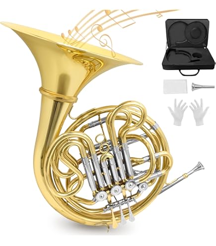 Amazon.com: Conn French Horn-Double, Yellow Brass (6D