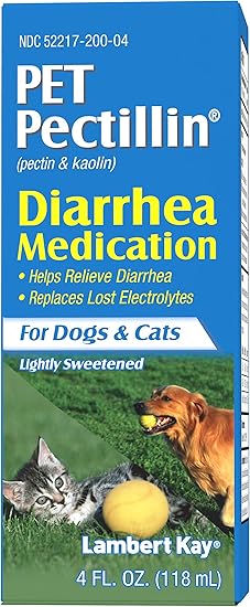 belgian shepherd price in usa