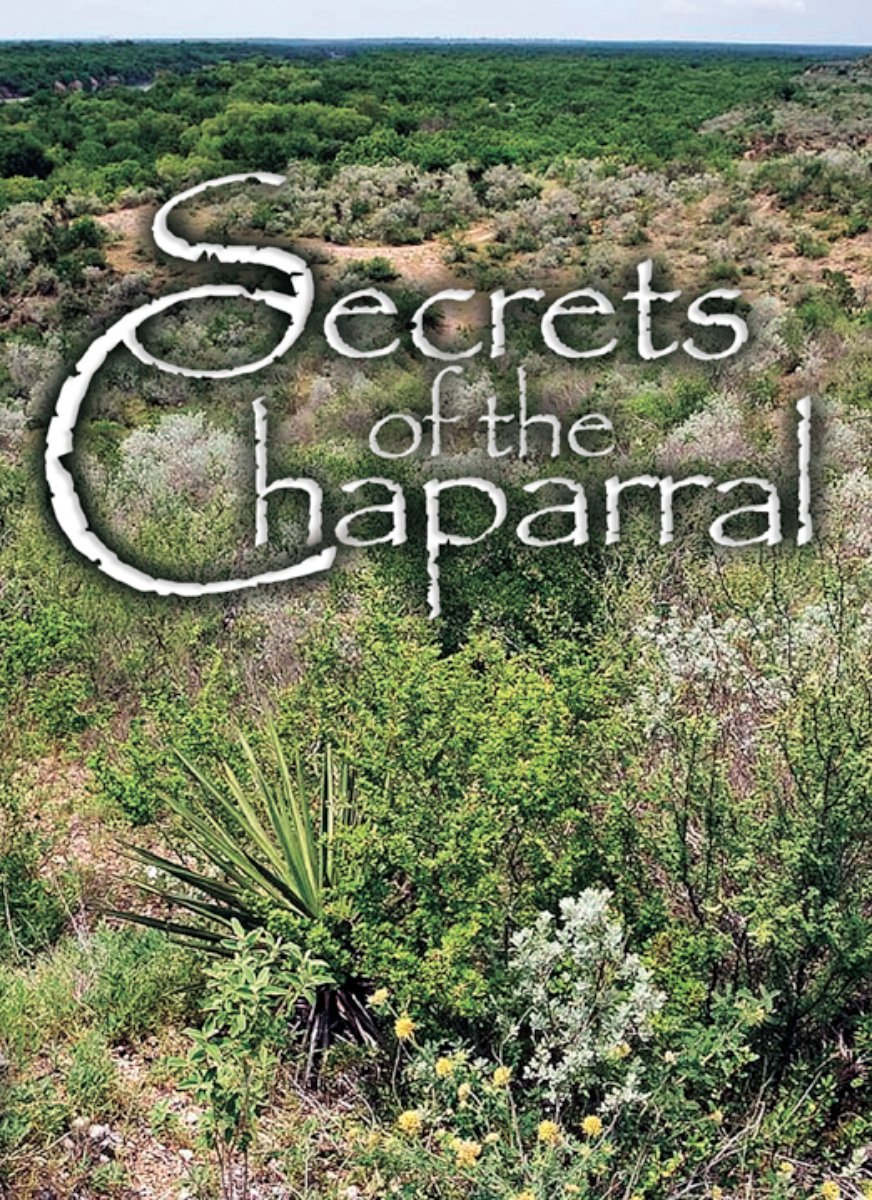 Amazon Com Secrets Of The Chaparral South Texas Native Plants Dvd Benito Trevino Richard L Moore Movies Tv