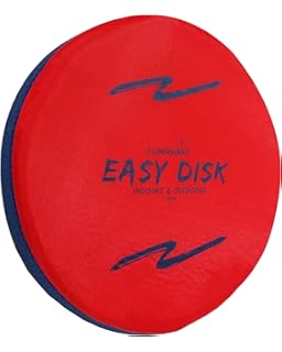 beamo frisbee target