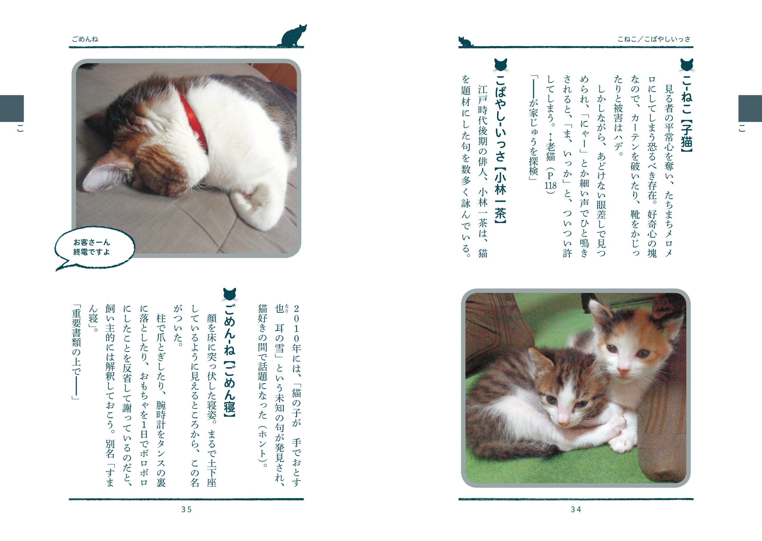 Dictionary which the feeling of a cat understands / NYANJISONO 