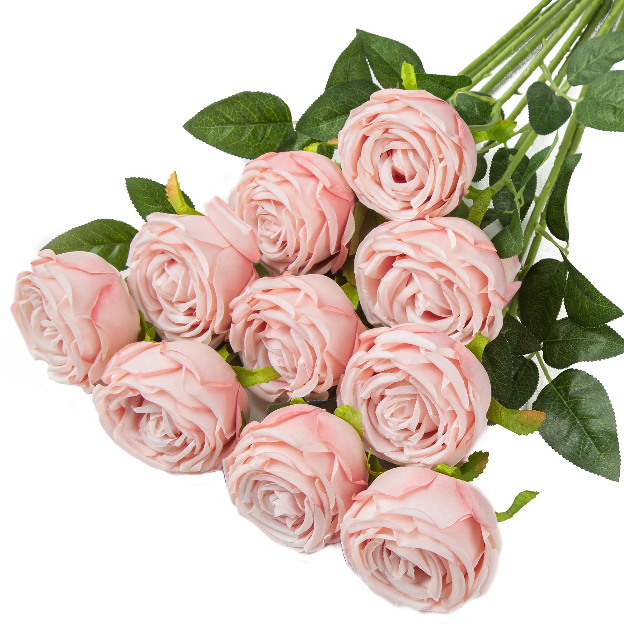 Photo 1 of Coferset 10 Pcs Fake Roses,Artificial Silk Rose Flowers with Long Stems,Realistic Faux Roses for Vase Home Wedding Table Centerpieces Baby Shower Decor (Blush)