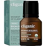 81YlTwcEuVL. AC UL160 SR160,160 Erzulie Dantor: The Fierce Protector of Women and Children