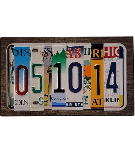 NEW Meijiana multi color License Plate Print Slip On Loaders 10 Personalized Montana State Custom License Plate  main image 3