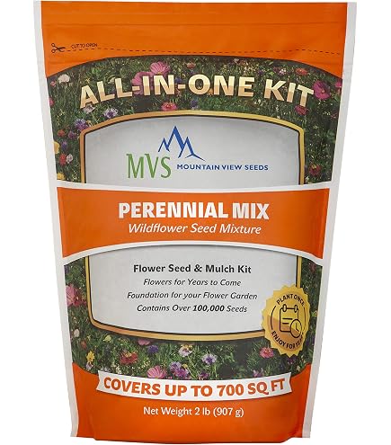 Amazon.com : Mountain View Seeds 106485 Midwest Wildflower Grass