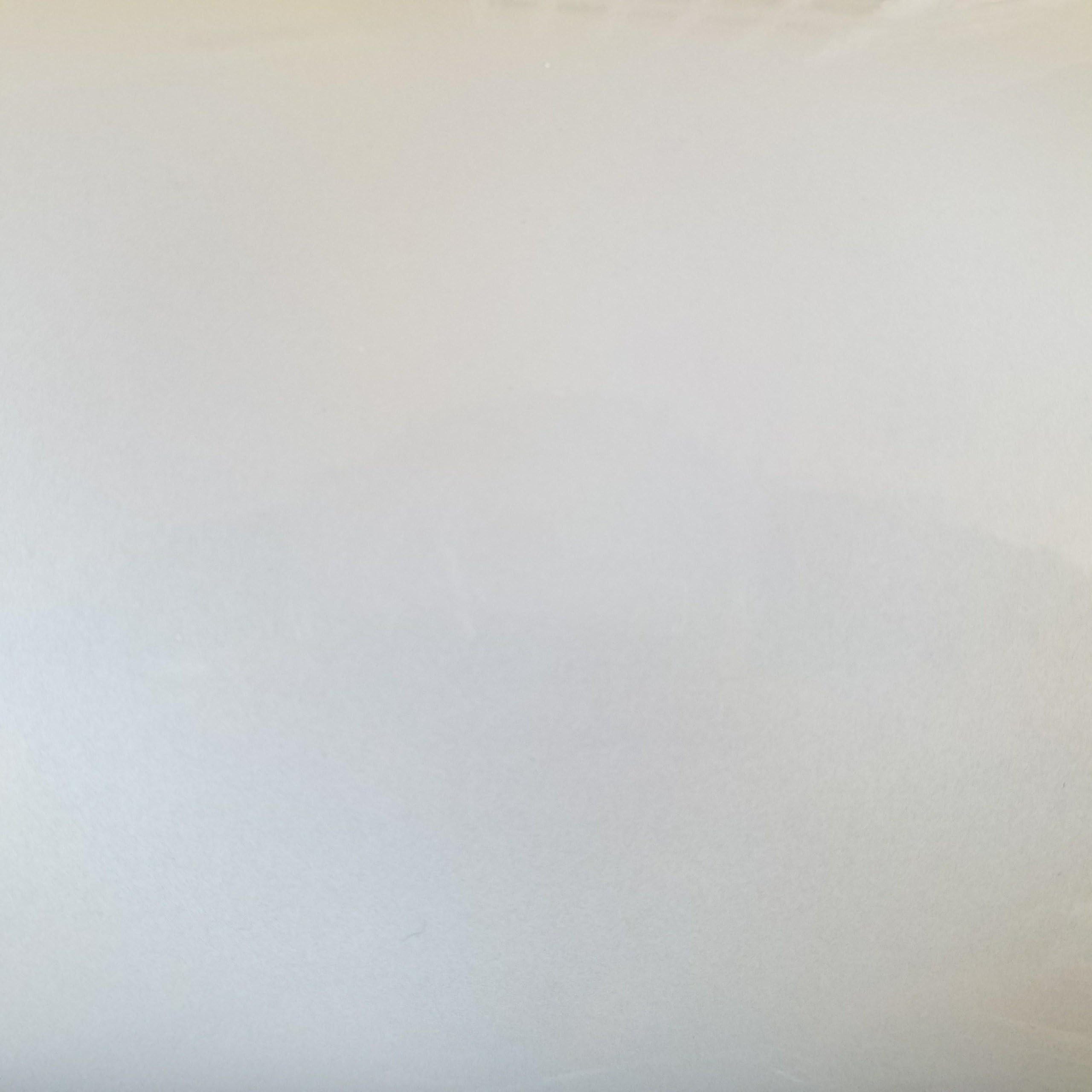 Oralite 5300 Reflective Vinyl (12 inch by 60 inch, Silvery White)
