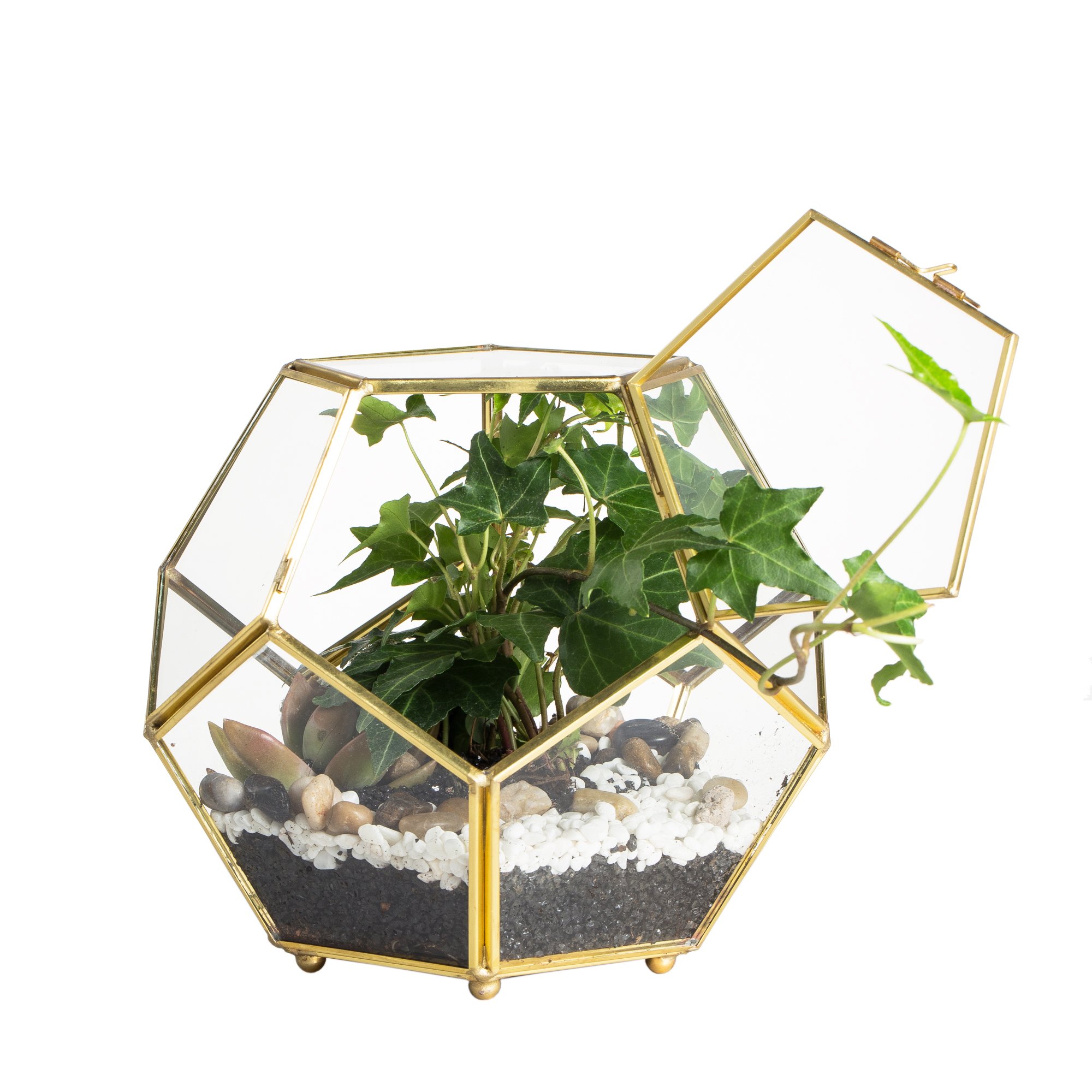 NCYP Glass Geometric Terrarium with Door for Fern, Succulent, Air Plants, Pentagon Closed Garden Planter Pot, Tabletop Centerpiece 17.5 x 17.5 x 15 cm, Gold (No Plants Included)