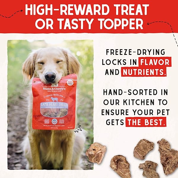 STELLA & CHEWY’S FREEZE-DRIED RAW LAMB HEART DOG TREATS – SINGLE INGREDIENT, NO ADDITIVES – PREMIUM TRAINING TREATS – PERFECT FOR PICKY EATERS – 3OZ BAG