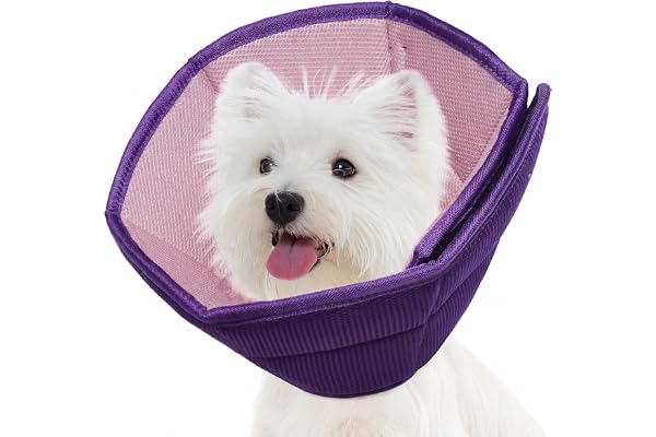 Dog Cone Collar Soft Cone for Medium Dogs After Surgery Adjustable Elizabethan Collar for Dogs to Stop Licking Wounds, Biting
