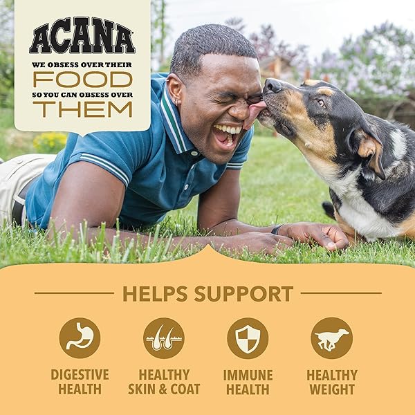 ACANA WHOLESOME GRAINS DRY DOG FOOD FREE-RUN POULTRY & GRAINS RECIPE WITH CAGE-FREE EGGS 4LB BAG
